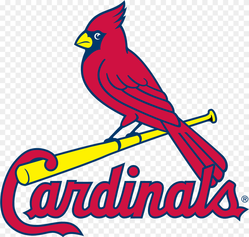 St St Louis Cardinals, Animal, Bird, Cardinal Free Transparent Png