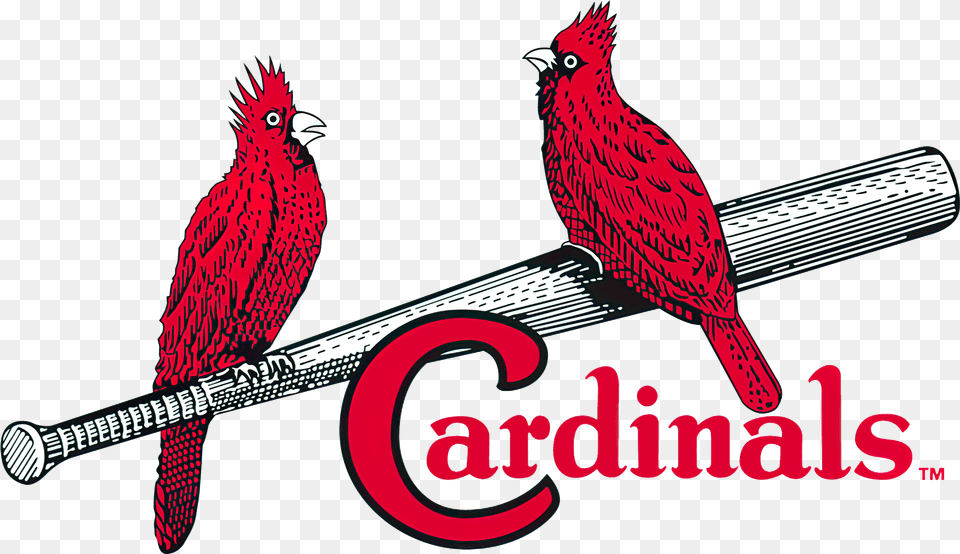 St St Louis Cardinals Logo History, Animal, Bird, Chicken, Fowl Free Transparent Png