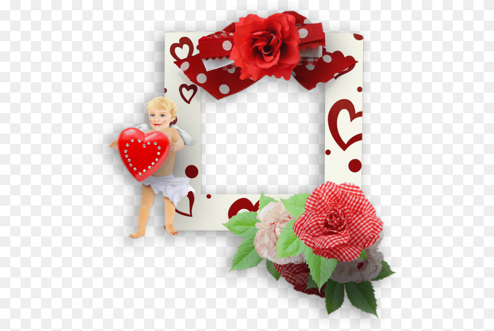 St Valentin, Flower, Plant, Rose, Baby Png