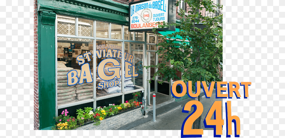 St Viateur Bagel Landmark Bagel Shop Montreal Bagel Shop, Plant, Potted Plant, City, Neighborhood Free Png