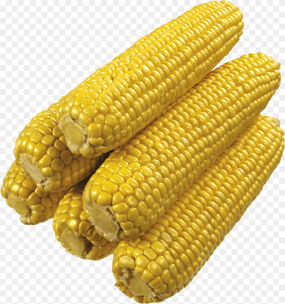 Stack Of Corns, Animal, Corn, Food, Grain Png Image