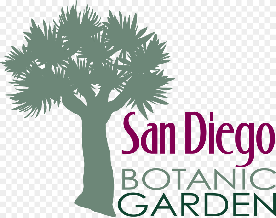 Stacked Logo In Black San Diego Botanic Garden Logo, Plant, Tree, Vegetation, Palm Tree Free Png Download