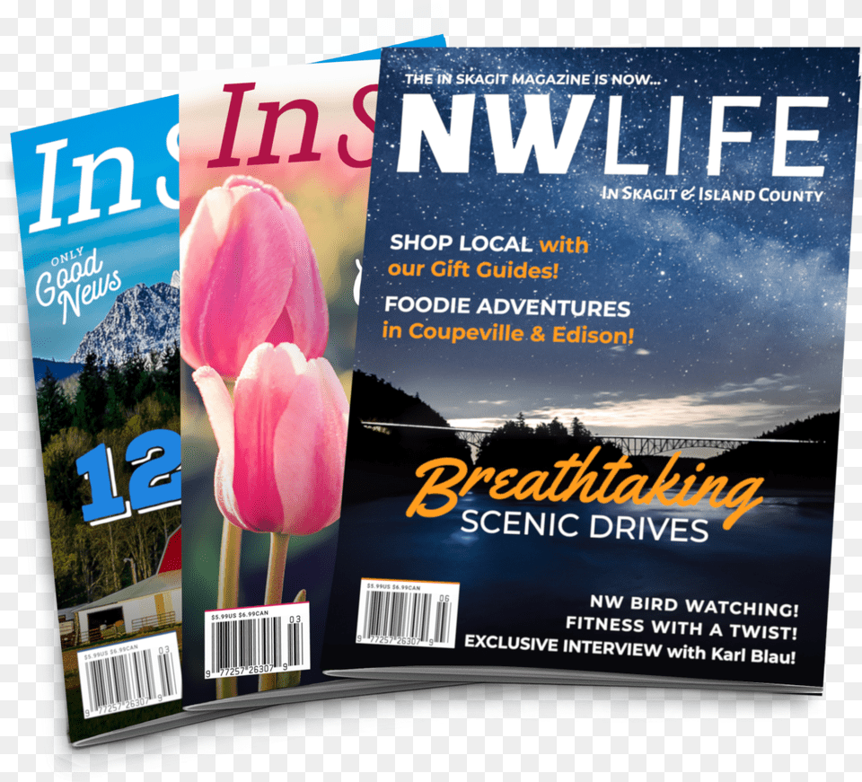 Stackofmagazines Tulip, Advertisement, Poster, Publication Free Png