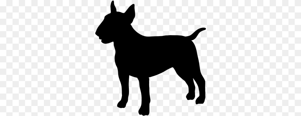 Staffordshire Bull Terrier Boston Terrier Bulldog Pit Bull Terrier, Gray Free Png