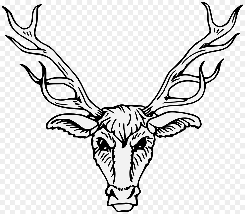 Stag, Stencil, Animal, Deer, Mammal Png