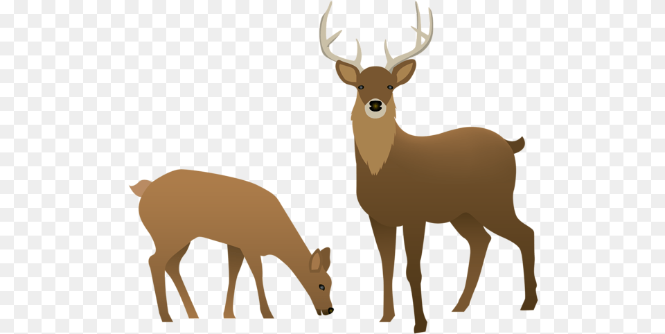 Stag And Doe Silhouette Download Background Deer Clipart, Animal, Elk, Mammal, Wildlife Png