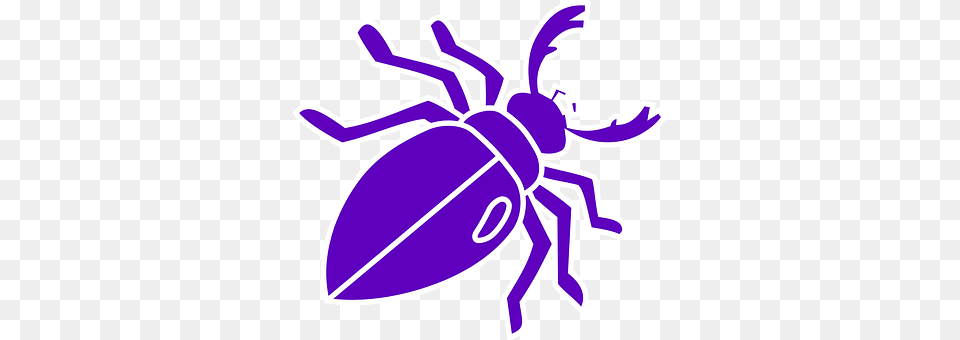 Stag Beetle Animal Png