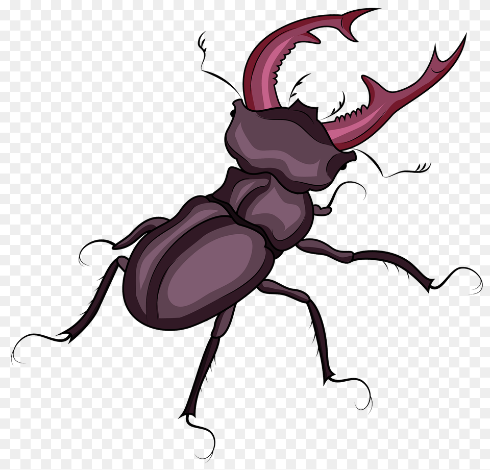 Stag Beetle Clipart, Animal, Kangaroo, Mammal Free Transparent Png