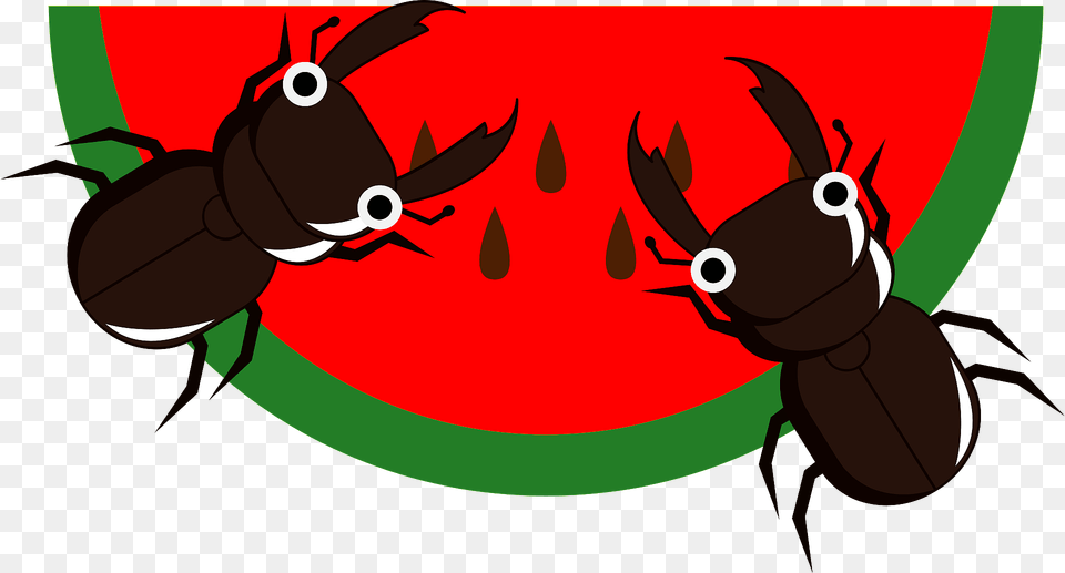 Stag Beetle Insect Are Crawling On A Watermelon Clipart, Animal, Crawdad, Food, Invertebrate Free Png Download