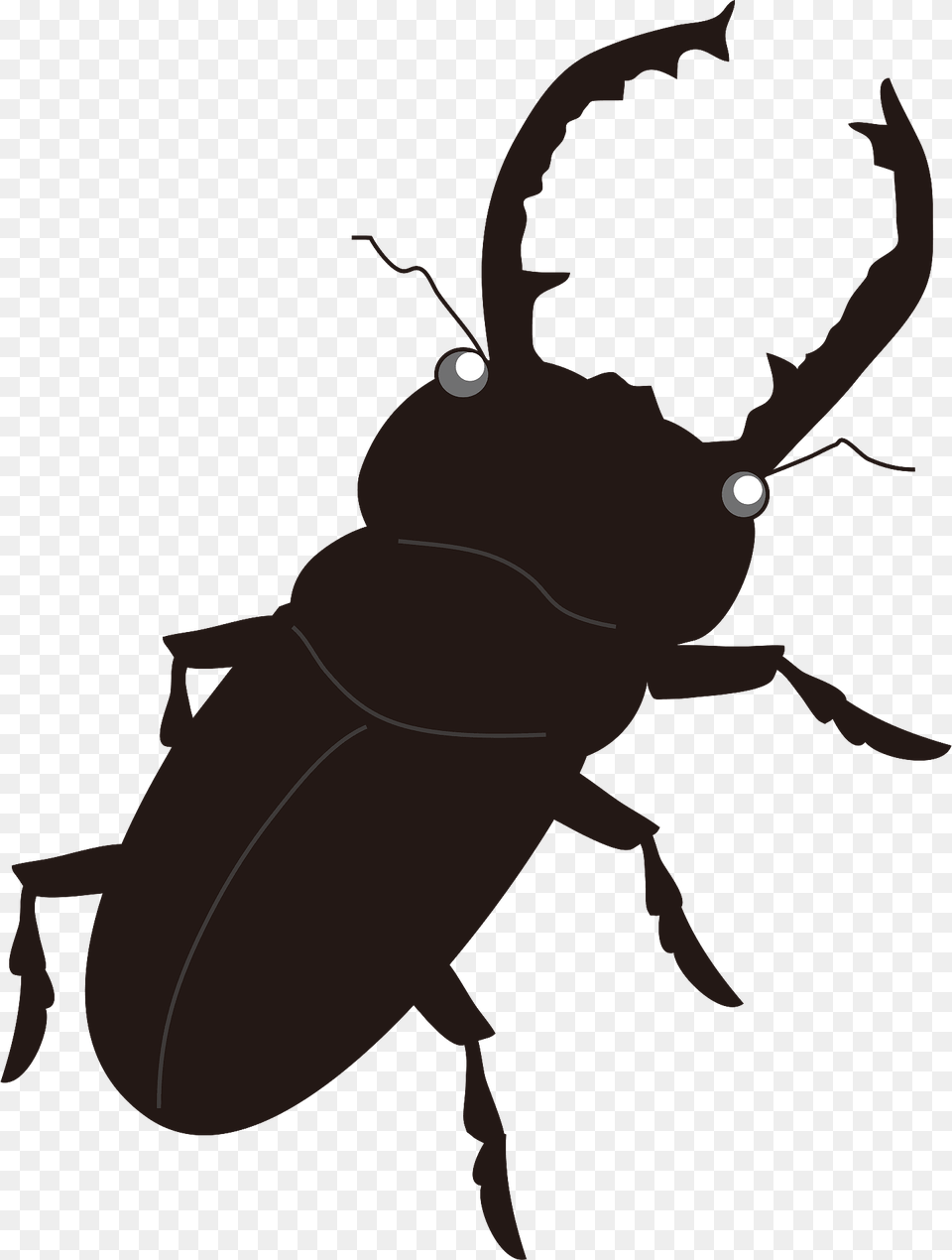 Stag Beetle Insect Clipart, Animal, Fish, Sea Life, Shark Free Transparent Png
