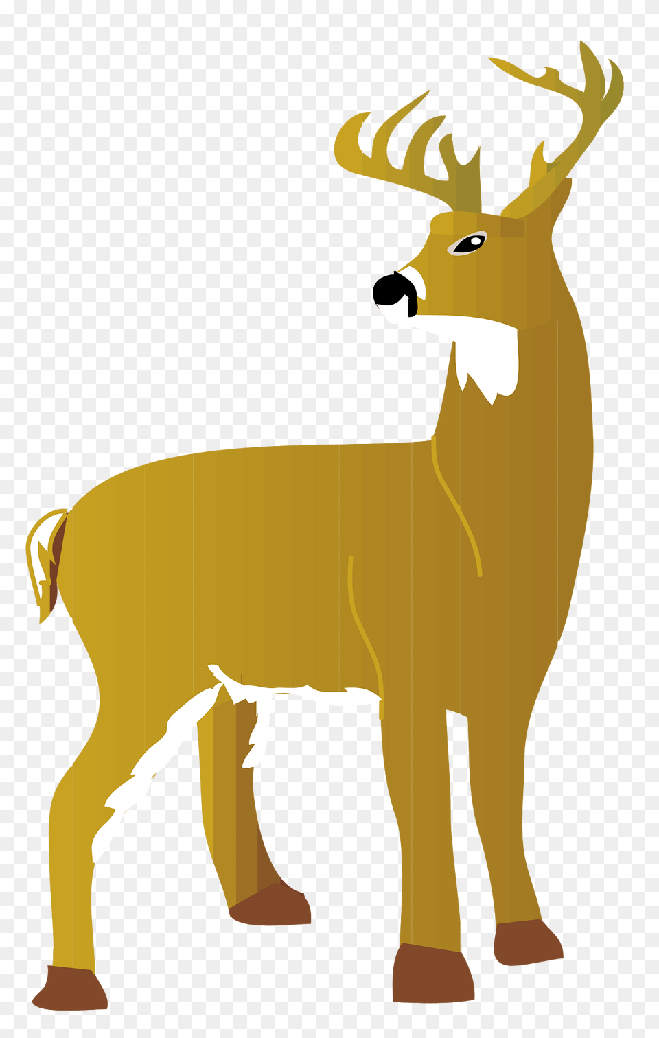 Stag Clipart, Animal, Deer, Mammal, Wildlife Png