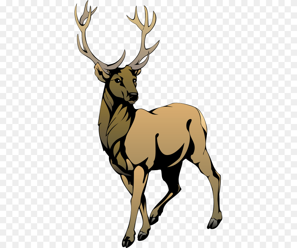 Stag Clipart Clip Art, Animal, Deer, Elk, Mammal Png Image