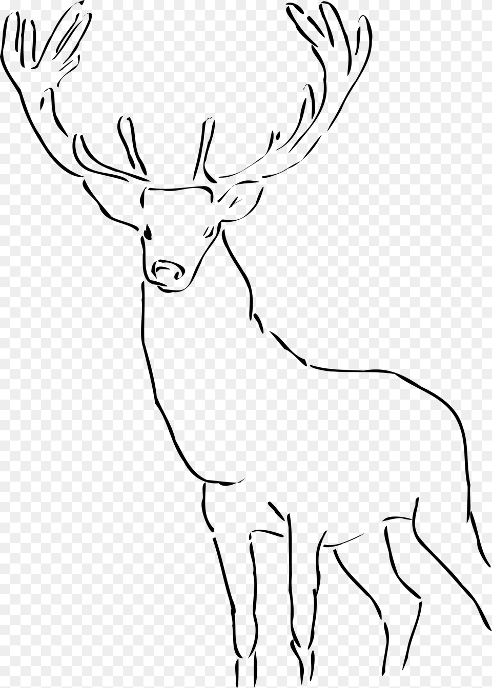 Stag Clipart Drawn Reindeer Images Black And White, Gray Png