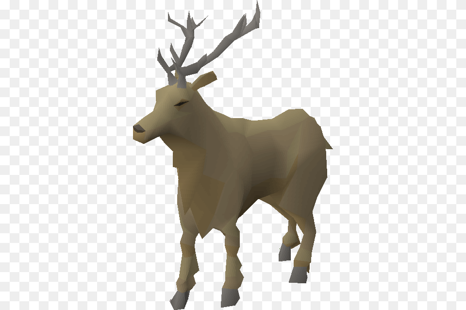 Stag Elk, Animal, Deer, Mammal, Wildlife Png Image