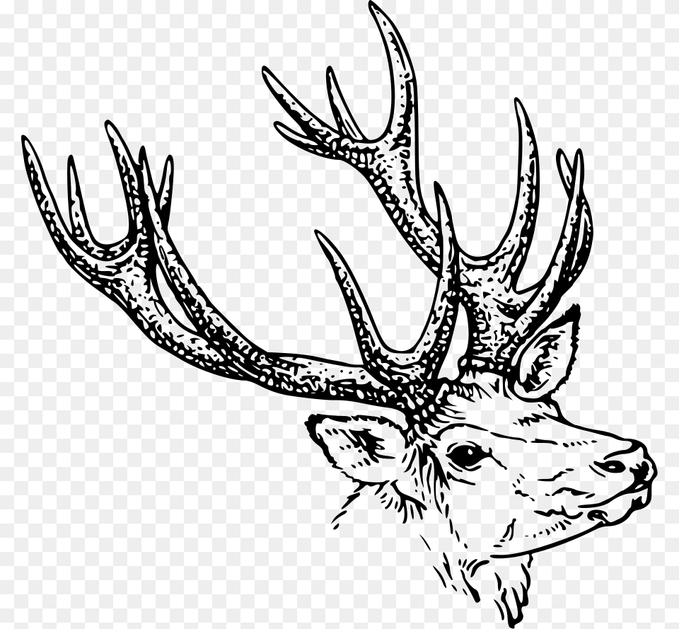 Stag Head Clip Arts For Web, Gray Png
