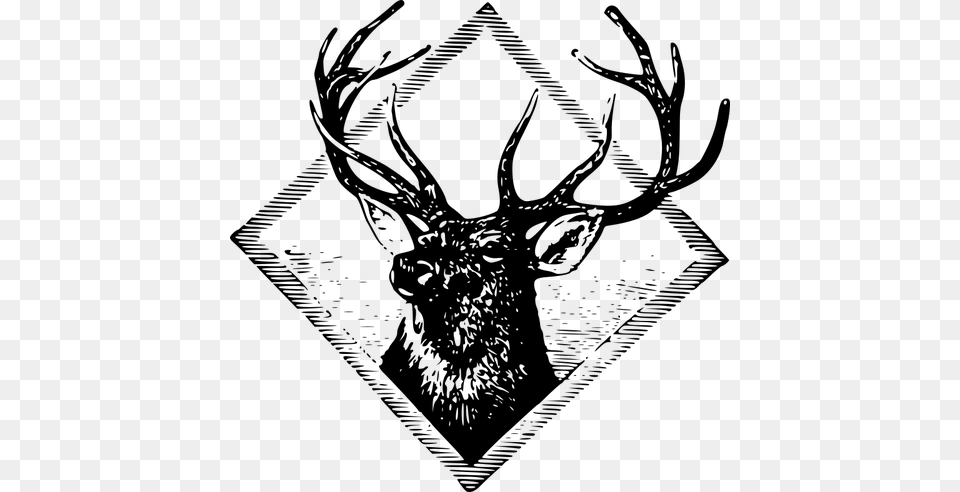 Stag Logo Vector Clip Art, Gray Free Png Download