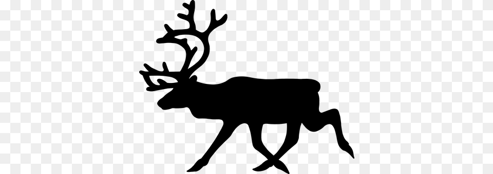 Stag Moose Elk Deer Animal Mammal Moose Mo Reindeer Clipart, Gray Free Transparent Png