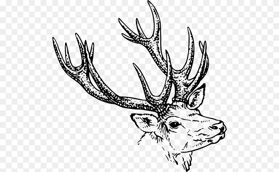 Stag Sketch Shower Curtain, Animal, Antler, Deer, Mammal Free Png Download