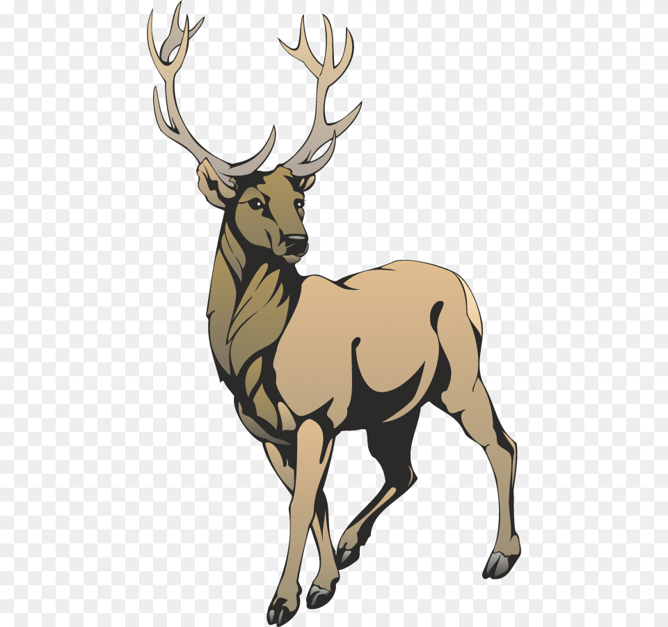 Stag Stag Images Clip Art, Animal, Deer, Elk, Mammal Free Transparent Png