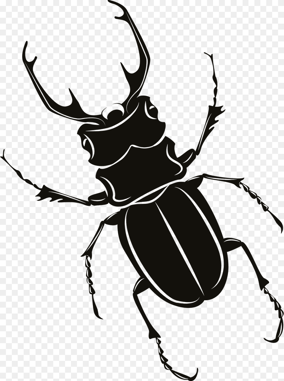 Stagbeetle Clipart, Animal, Dung Beetle, Insect, Invertebrate Free Png
