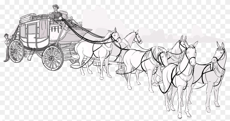 Stagecoach Horse Harness, Vehicle, Carriage, Transportation, Person Free Png Download