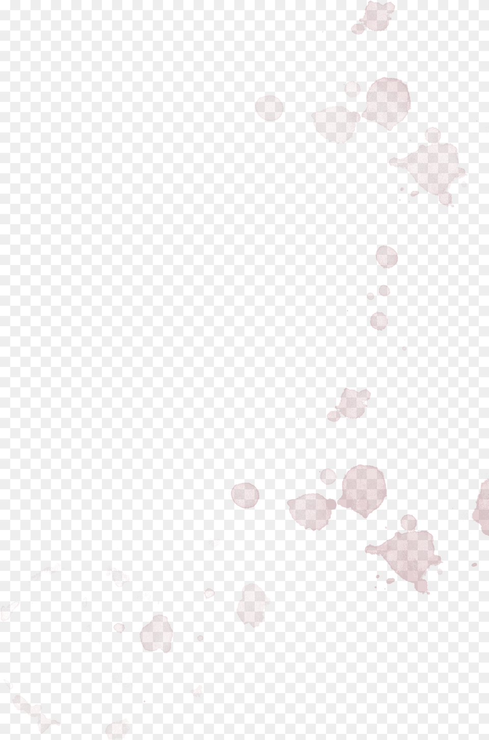 Stain Download Paper, Flower, Petal, Plant Free Png