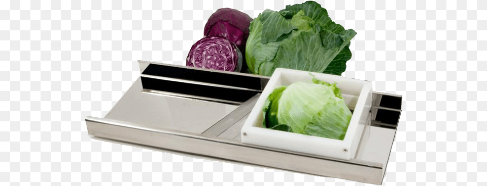 Stainless Steel Cabbage Cutter Amp Shredder Tsm Products Stainless Steel Cabbage Slicer, Food, Leafy Green Vegetable, Plant, Produce Png Image