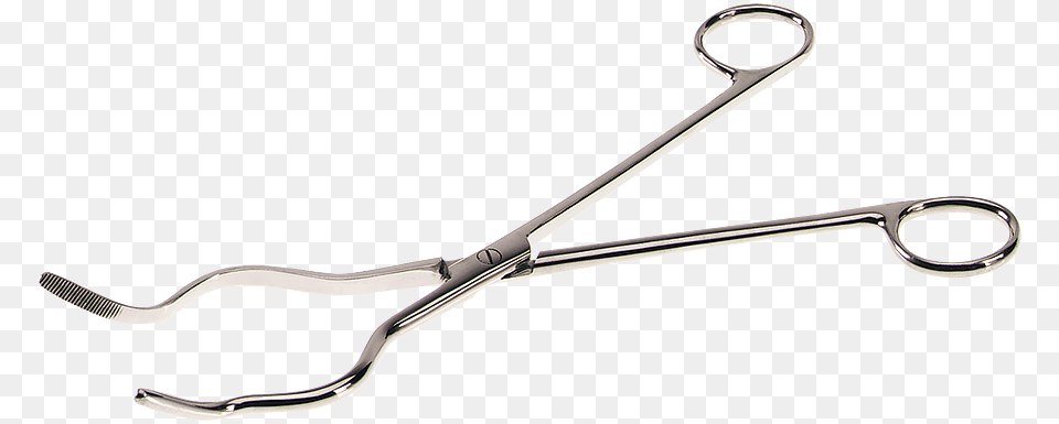 Stainless Steel Tongs Tool, Scissors, Device, Clamp Png Image