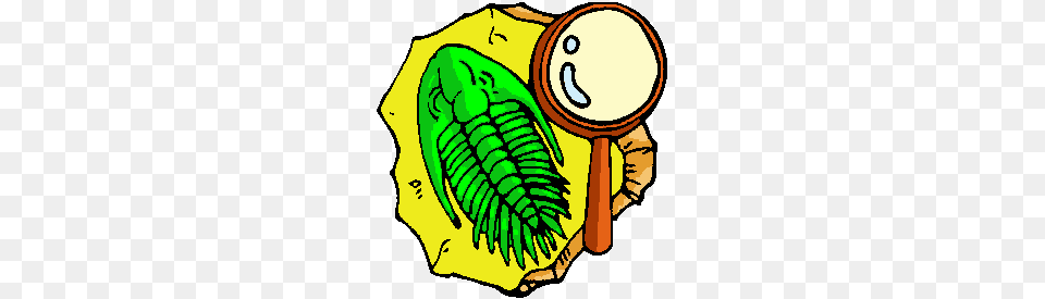 Stakeholders, Baby, Person Png Image