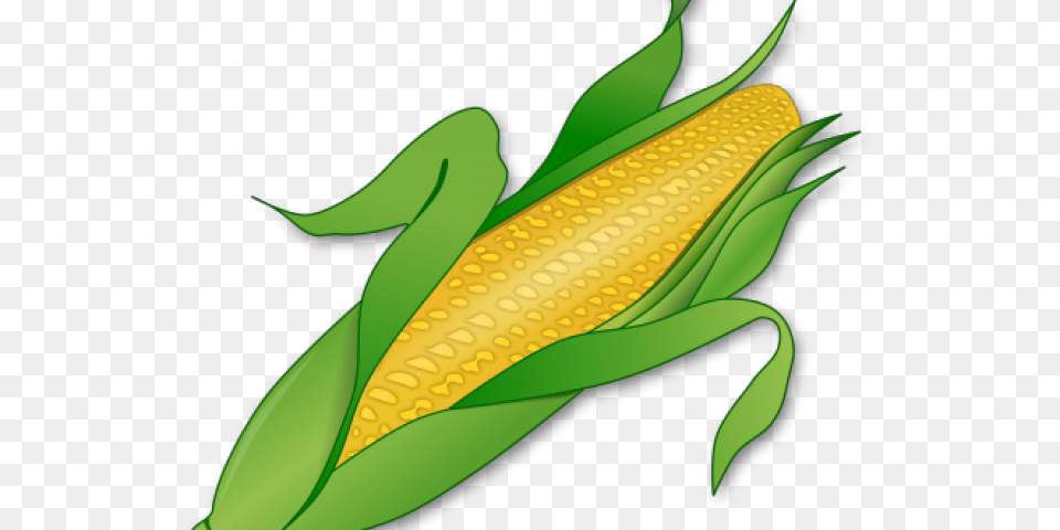 Stalk Clipart Cartoon, Corn, Food, Grain, Plant Free Png