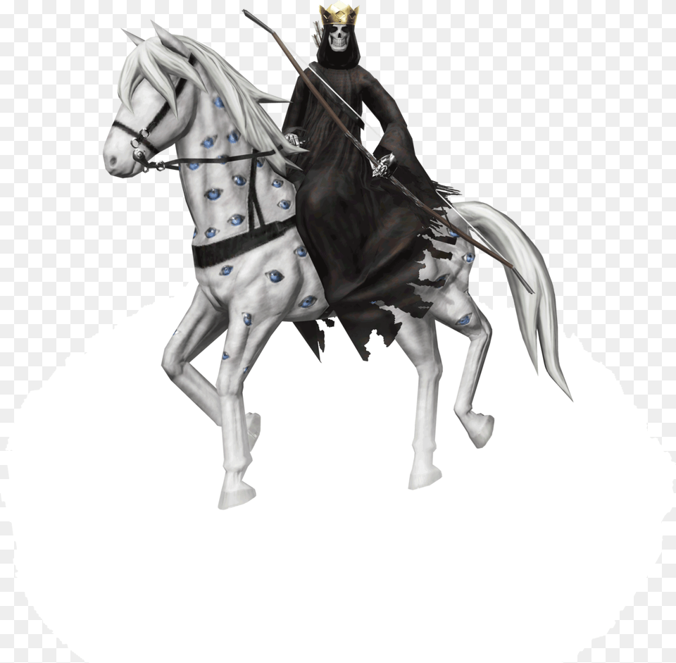 Stallion, Knight, Person, Animal, Horse Free Transparent Png
