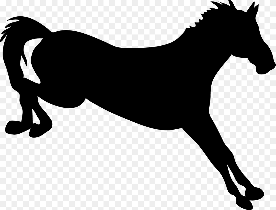 Stallion, Silhouette, Stencil, Animal, Horse Png