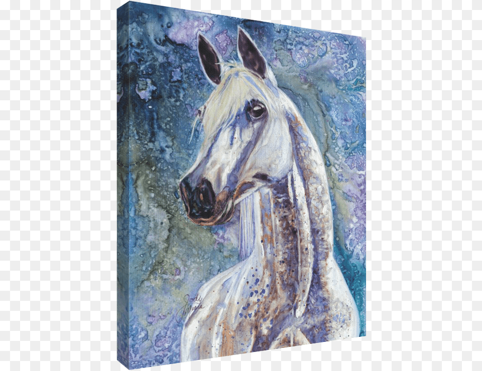 Stallion, Art, Painting, Animal, Horse Png