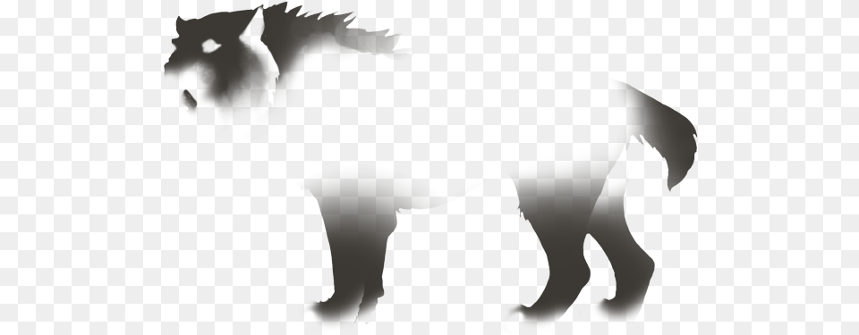 Stallion, Stencil, Animal, Colt Horse, Horse Free Png Download