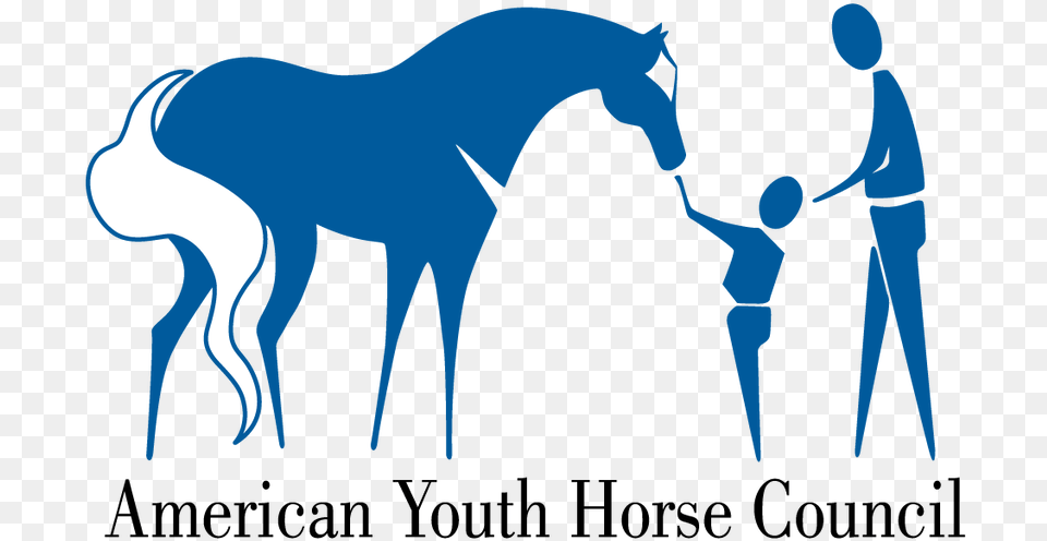 Stallion 2015, Animal, Colt Horse, Horse, Mammal Png