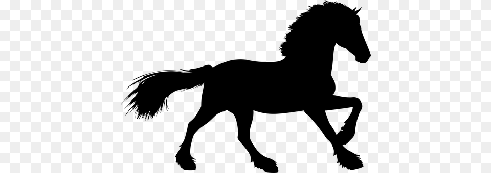 Stallion Gray Free Transparent Png