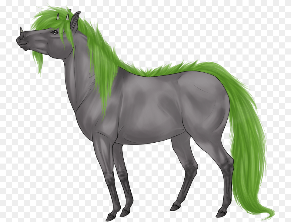 Stallion, Horse, Andalusian Horse, Animal, Mammal Free Transparent Png