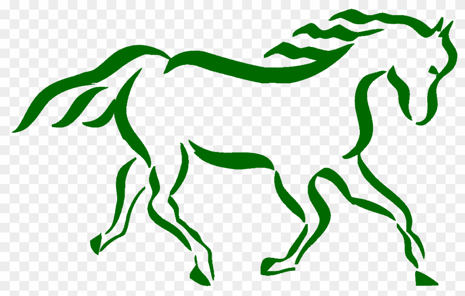 Stallion, Animal, Colt Horse, Horse, Mammal Png