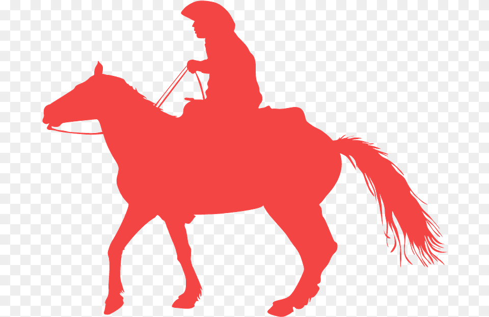 Stallion, Person, People, Adult, Man Png