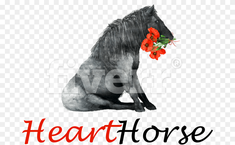 Stallion, Mammal, Horse, Plant, Flower Free Png Download