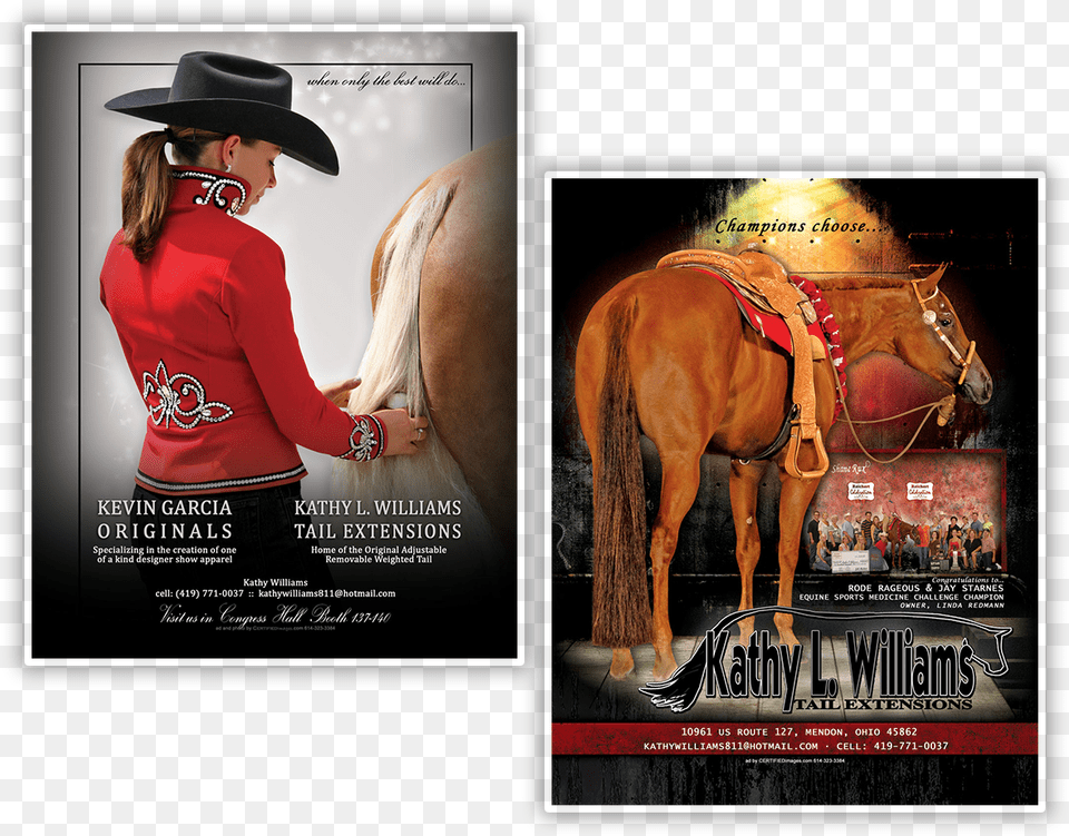 Stallion, Adult, Poster, Person, Hat Png