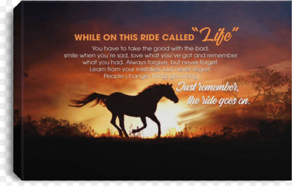 Stallion, Silhouette, Animal, Horse, Mammal Free Png Download