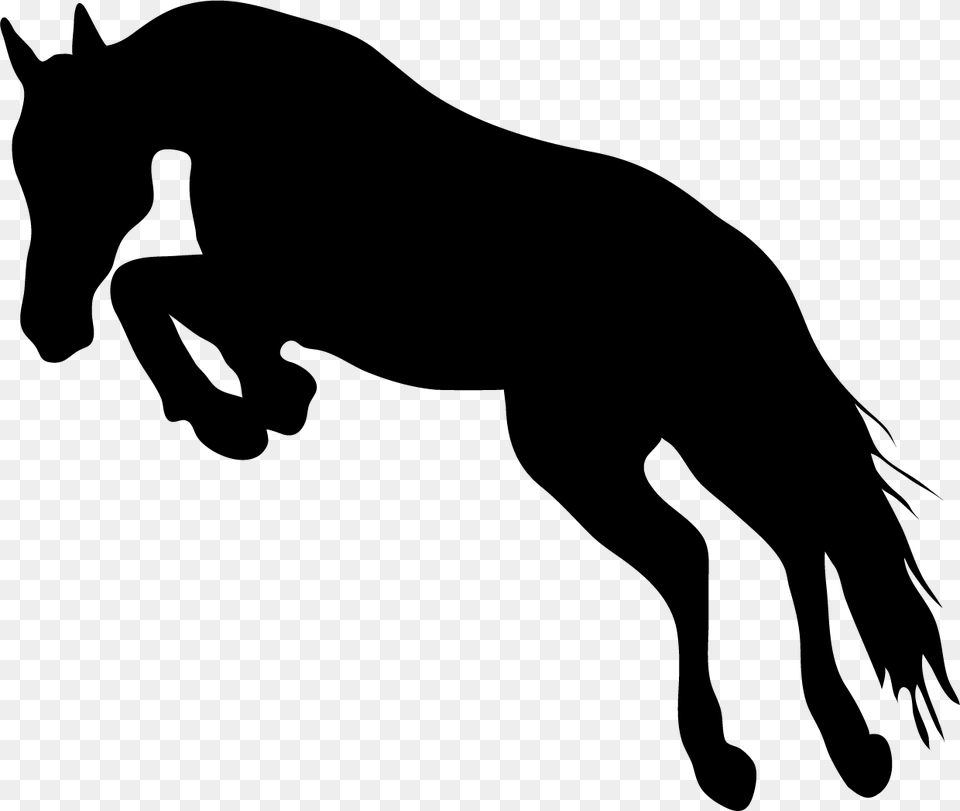 Stallion, Silhouette, Animal, Mammal, Horse Png Image