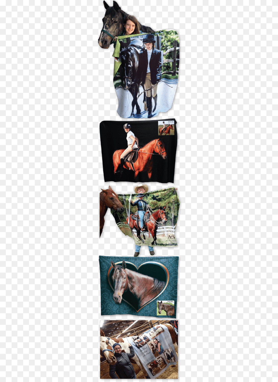 Stallion, Art, Collage, Adult, Person Free Png Download