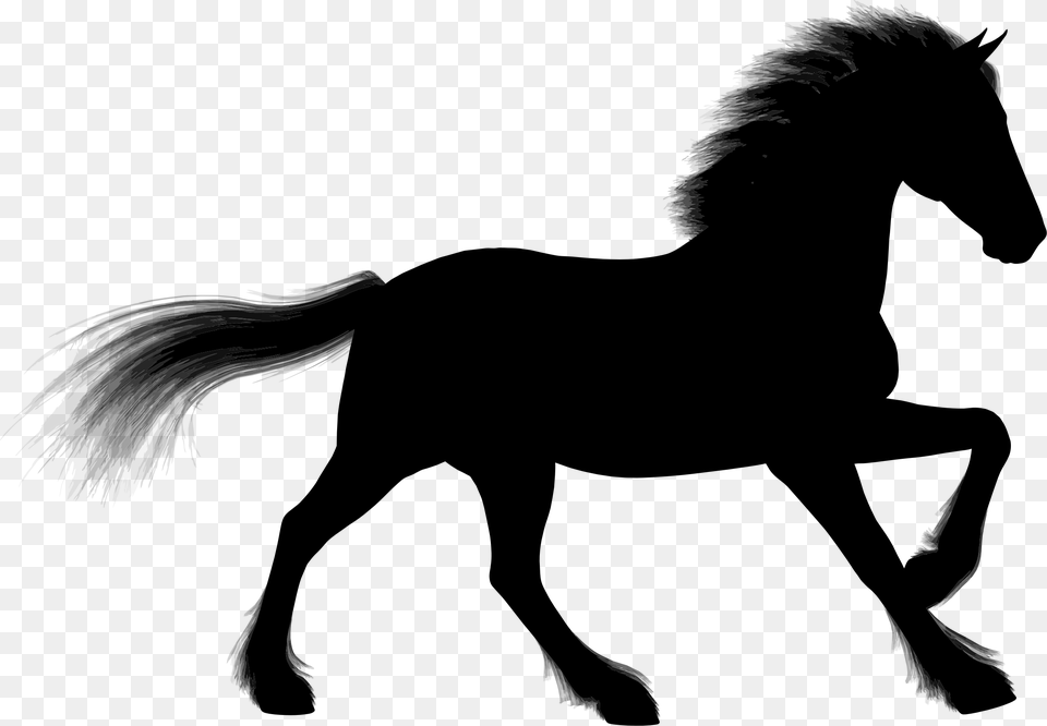 Stallion Arabian Horse Foal Silhouette Clip Art Silhouette Of Animals, Gray Free Png