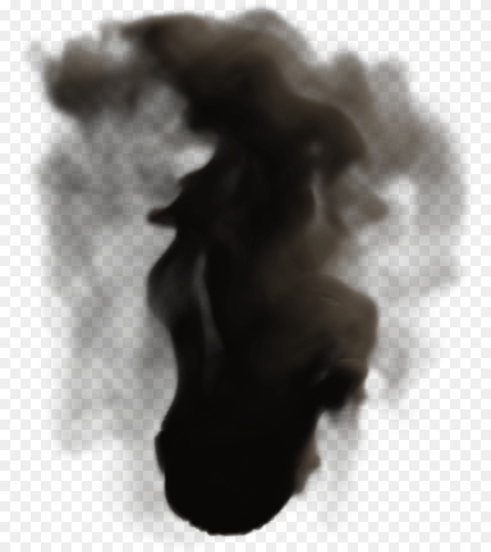 Stallion Black And White, Smoke, Baby, Person, Face Free Transparent Png
