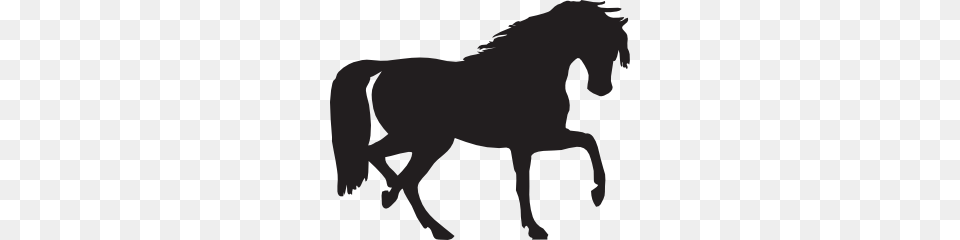 Stallion Clipart, Silhouette, Animal, Mammal, Horse Free Png Download