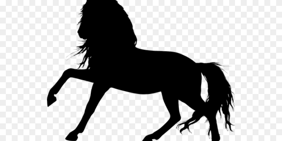 Stallion Clipart Silhouette Horse Silhouette Transparent Background, Gray Png Image
