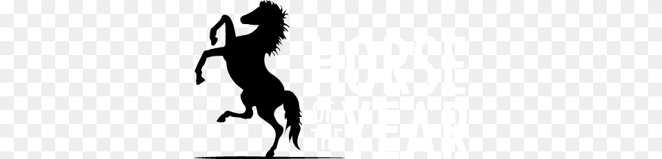 Stallion Clipart Year, Text Free Transparent Png