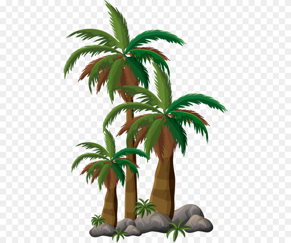 Stamp Clipart Palm Tree Coconut Tree Animated, Palm Tree, Plant, Vegetation, Jungle Png